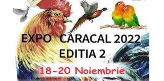 Păsări și animale mici de rasă, în expoziție la Caracal. Se pot câștiga și la tombolă