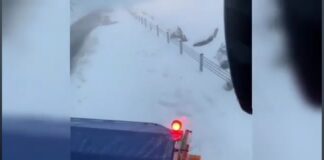 VIDEO/ Drumarii au ieșit la deszăpezit pe Transfăgărășan