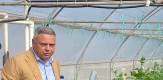 Ministrul Barbu:Am simplificat condițiile de acordare a ajutorului financiar pentru producătorii de legume în spații protejate