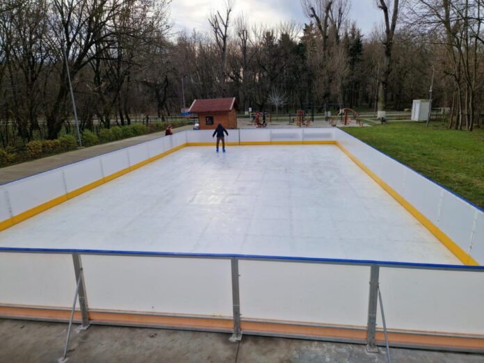 patinoar caracal