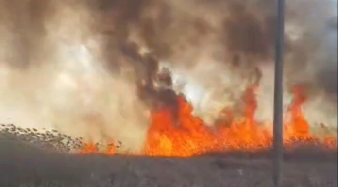 incendii