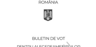 Cum va arăta buletinul de vot pentru alegerile europarlamentare. Unde sunt poziționați candidații