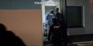 VIDEO/ Șapte persoane din județele Dâmbovița, Argeș și Olt, reținute pentru înșelăciuni privind asigurările
