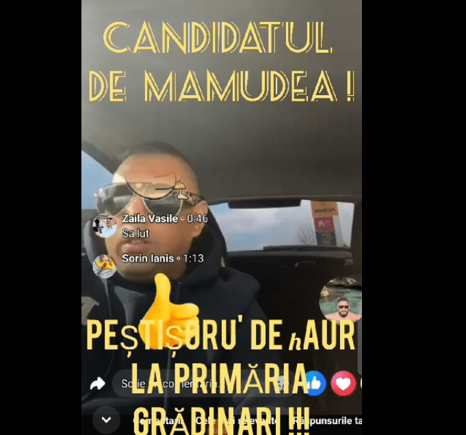 candidatul de h Aur