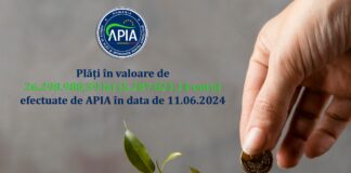 APIA a făcut azi plățile pentru anul de cerere 2023