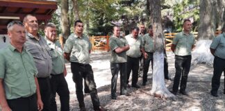 Cel mai bun pădurar din Olt este din Balș. Va reprezenta județul la faza națională a concursului profesional