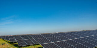 Sute de hectare de teren agricol, scoase din circuit pentru construirea de parcuri fotovoltaice