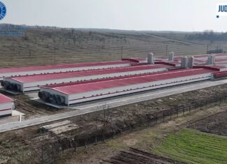 VIDEO/ O fermă din Olt ce produce anual peste un milioan de pui de carne, promovată de ministrul Agriculturii