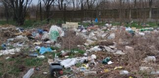 Pentru că au ,,înfloritˮ gunoaiele, Primăria Ianca a ,,culesˮ o tonă de deșeuri