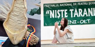 Festivalul de teatru școlar de la Văleni, amânat o săptămâna din cauza alegerilor. Se prelungește și perioada înscrierilor