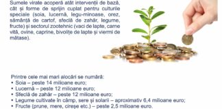 APIA a dat startul plăților pentru Sprijinul Cuplat – Campania 2024