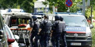 Doi elevi români, printre victimele de la liceul austriac