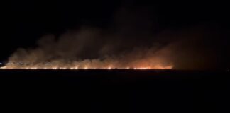 Focul a mistuit grâul la Dobrosloveni, fiind al treilea incendiu. Primarul a anunțat poliția și cere ajutorul populației