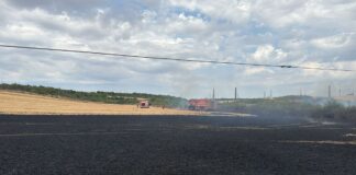 Incendiu provocat de un stâlp electric. 150 hectare de miriște și lan de grâu făcute scrum