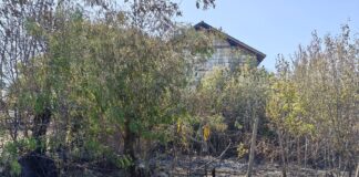 Foto-VIDEO/ Intervenții dificile pentru pompieri la incendii în Iancu Jianu și Găvănești