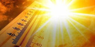 Revine canicula. Oltul, sub avertizare Cod Galben de caniculă