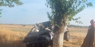 IPJ Olt, semnal de alarmă în urma tragediei de pe DN54