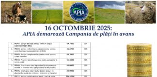 Vin bani pentru fermieri